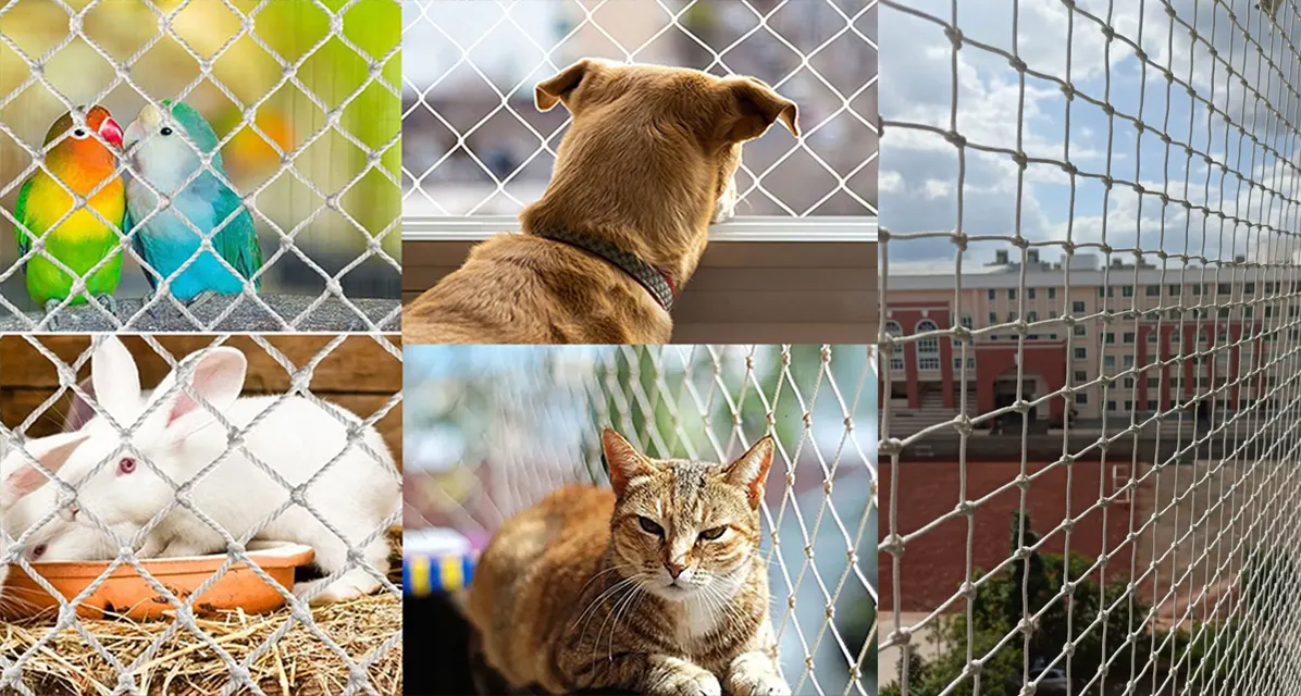  Pets Safety Nets 